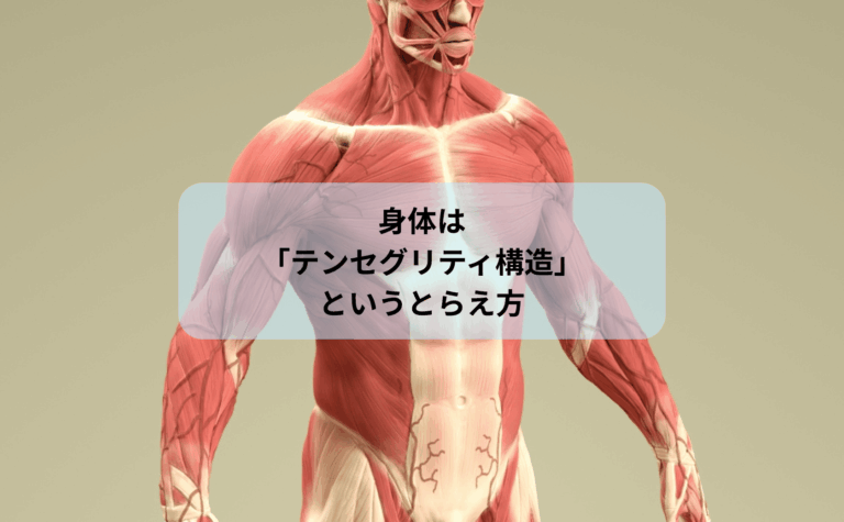 身体はテンセグリティ構造というとらえ方
