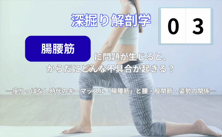 腸腰筋が腰椎・骨盤・股関節をつなぐ様子を示した人体イラスト。反り腰や股関節前のつっぱりなどの不調との関係を解説するための図解(整体りびるど)。