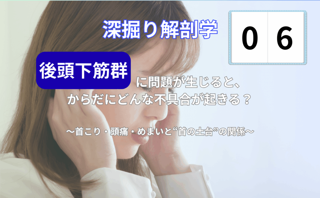 後頭下筋群と首こり・頭痛・めまいの関係をわかりやすく説明するイメージイラスト