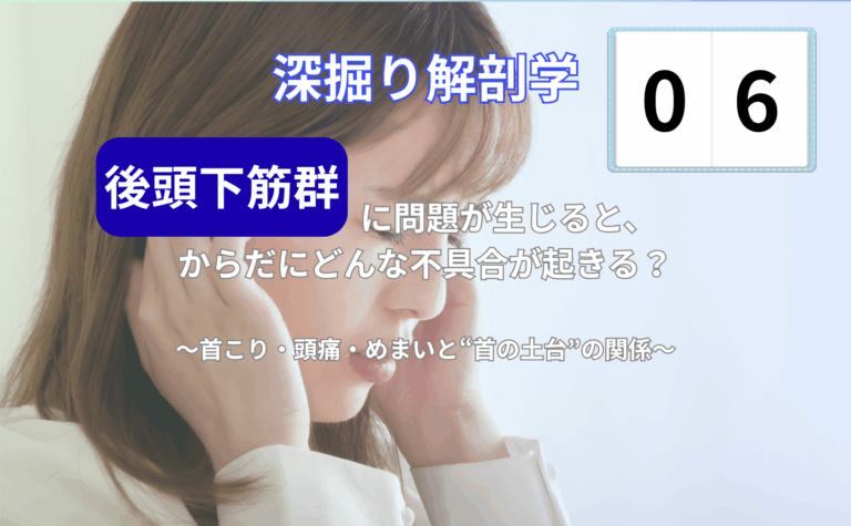 後頭下筋群と首こり・頭痛・めまいの関係をわかりやすく説明するイメージイラスト