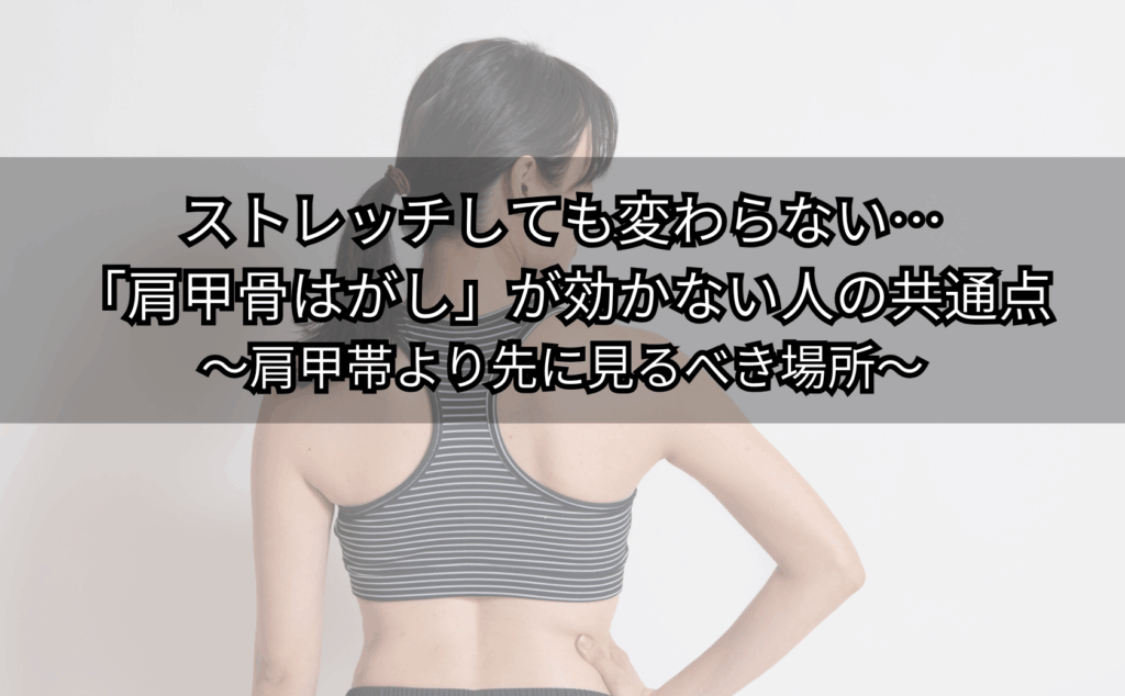 肩甲骨はがしが効かず肩が重い人が胸郭を意識している場面