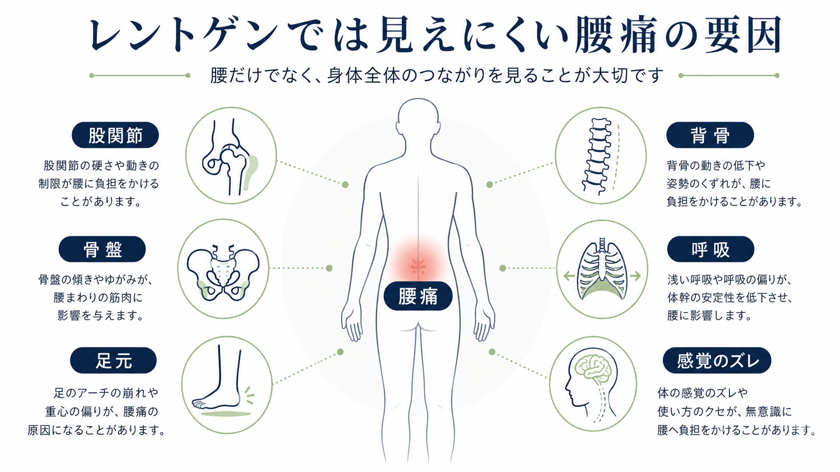 レントゲンでは見えにくい腰痛の要因として股関節・骨盤・背骨・足元・呼吸・感覚のズレを示した図解