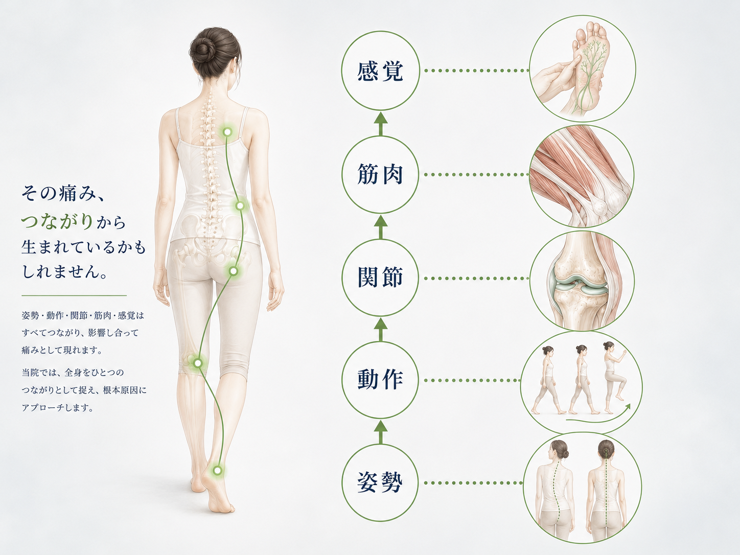 痛みの場所と姿勢・動作・関節・筋肉・感覚のつながりを示す図解
