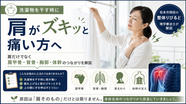 洗濯物を干す時に肩がズキッと痛む原因を、肩甲骨・背骨・胸郭・体幹のつながりから解説する整体りびるどの記事アイキャッチ画像