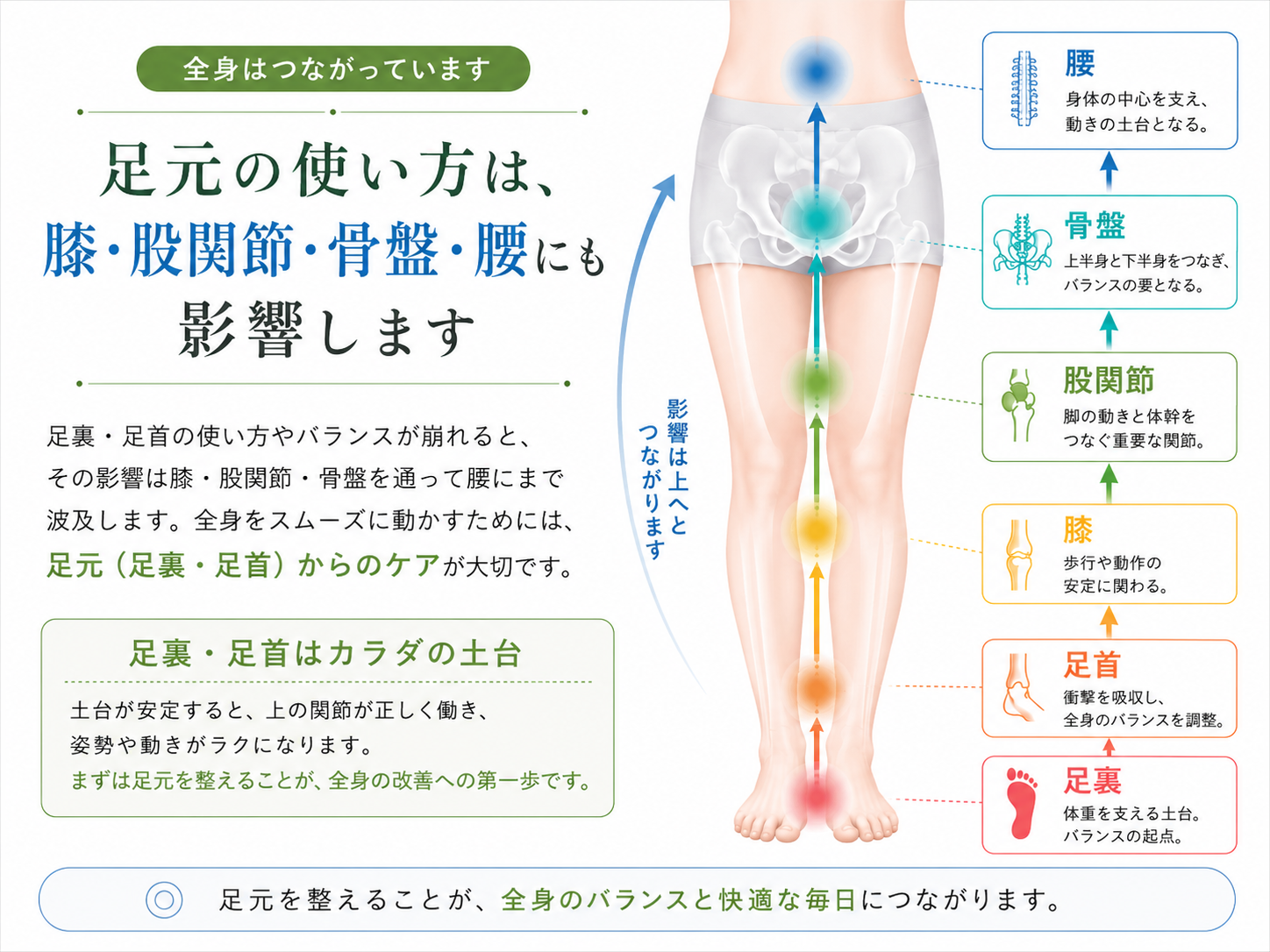 足首・足裏・膝・股関節・骨盤・腰のつながりを説明する図解