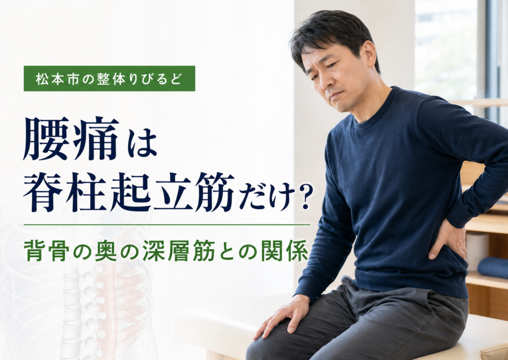 松本市の整体りびるどによる、腰痛と脊柱起立筋・背骨の奥の深層筋との関係を示したアイキャッチ画像 ``