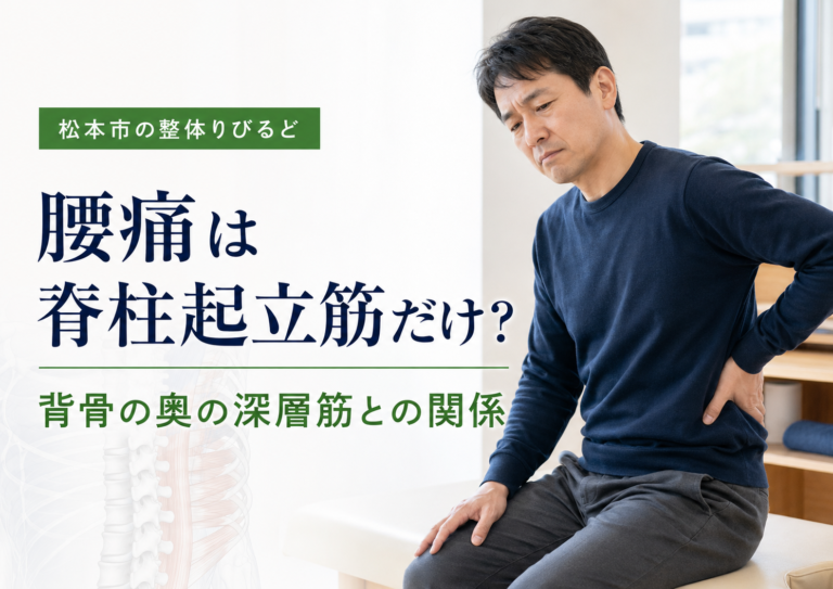 松本市の整体りびるどによる、腰痛と脊柱起立筋・背骨の奥の深層筋との関係を示したアイキャッチ画像 ``
