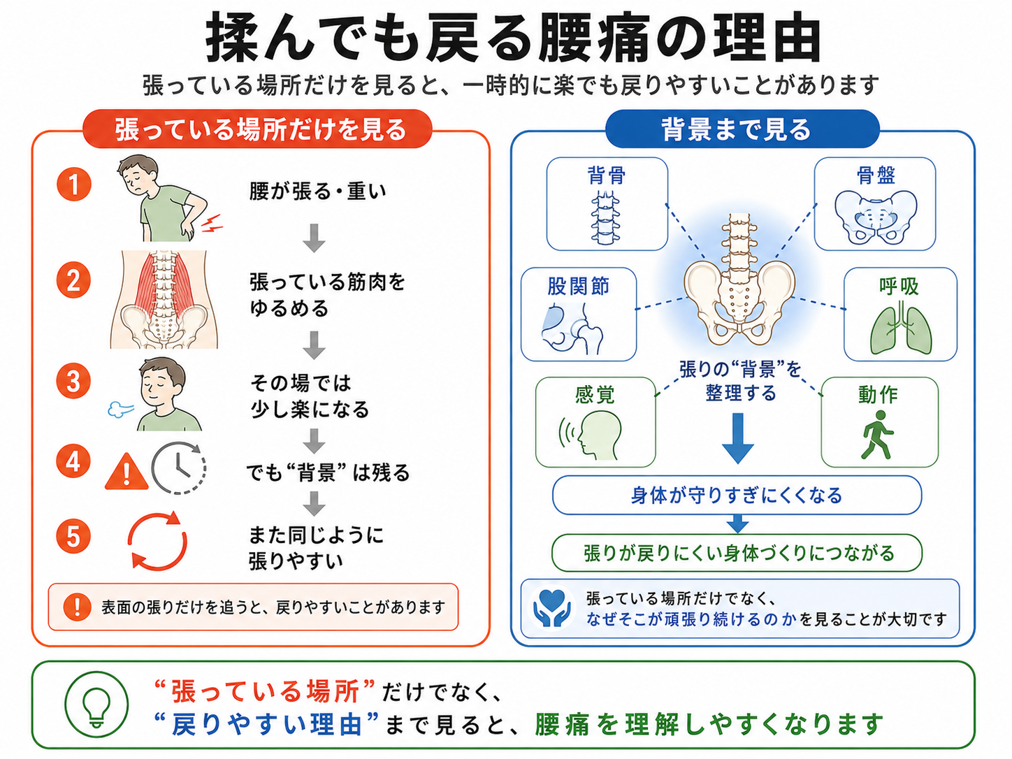 張っている場所だけを見る対処と、背骨・骨盤・股関節・呼吸・感覚・動作まで見て戻りやすい理由を整理する対処を比較した腰痛の図解