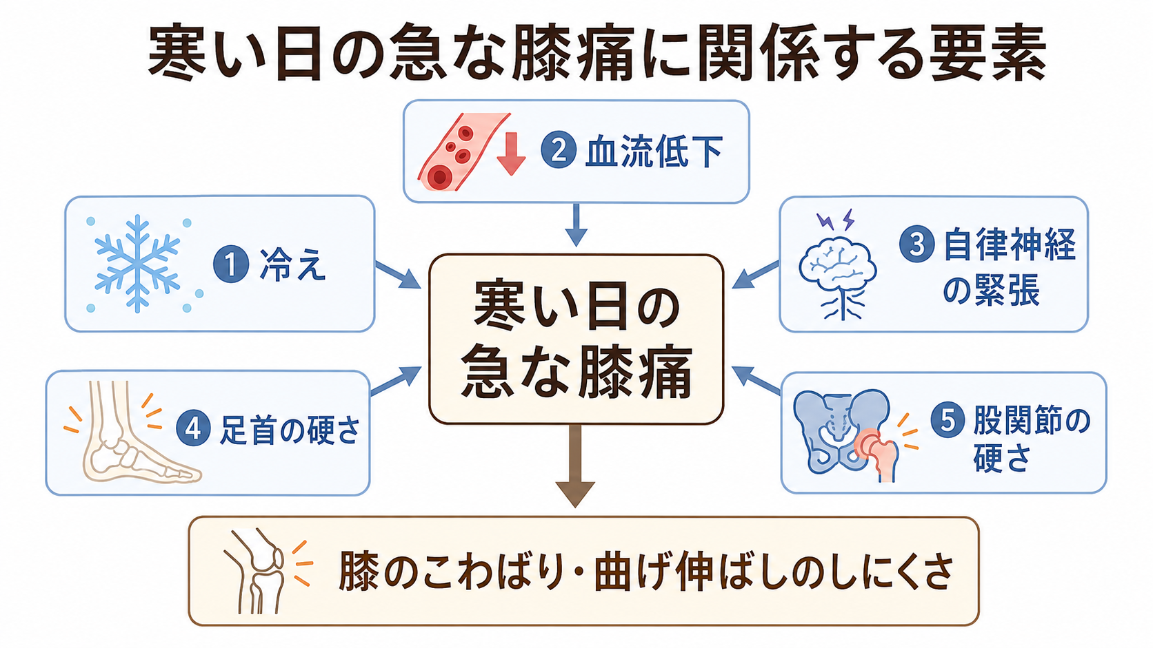 冷えや自律神経と足首股関節が膝の痛みに関係する図解