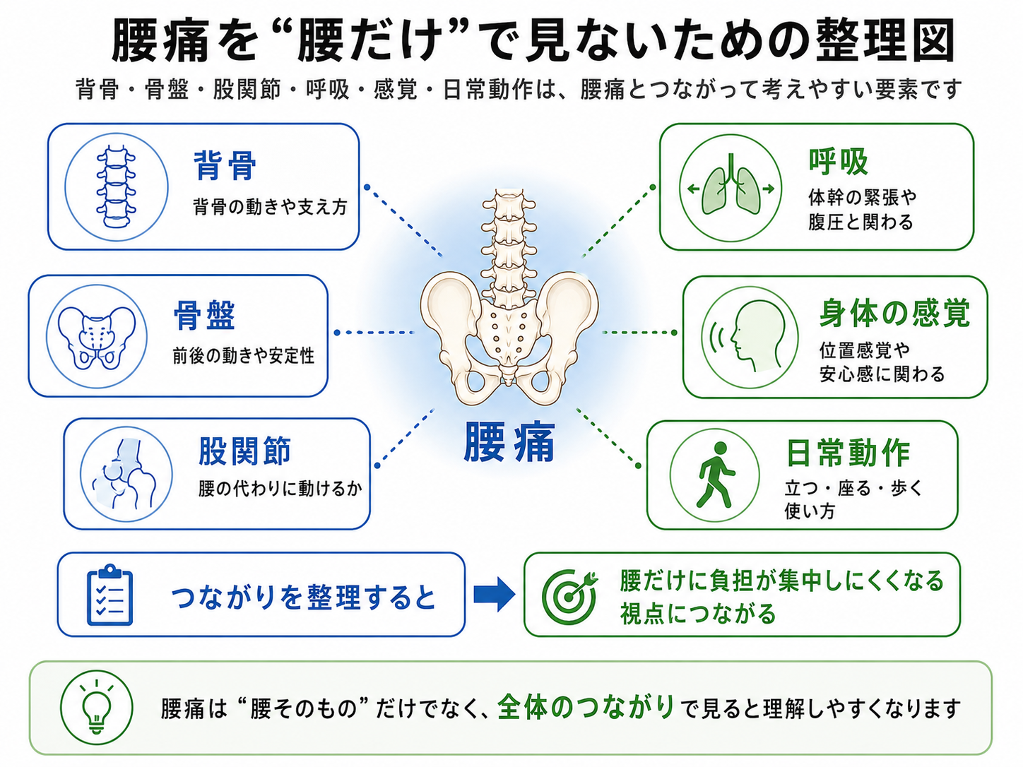 腰痛を腰だけで見ず、背骨・骨盤・股関節・呼吸・感覚・日常動作とのつながりで考える整理図