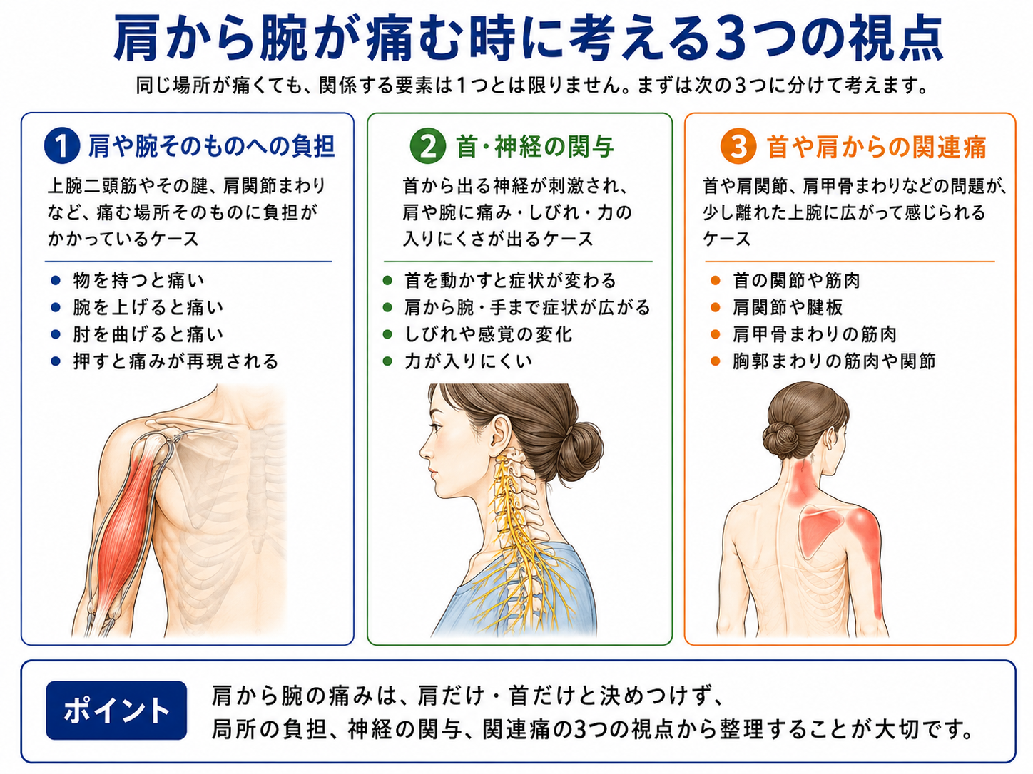 肩から腕の痛みを肩や腕そのものへの負担、首や神経の関与、首や肩からの関連痛の3つに分けて説明した図解